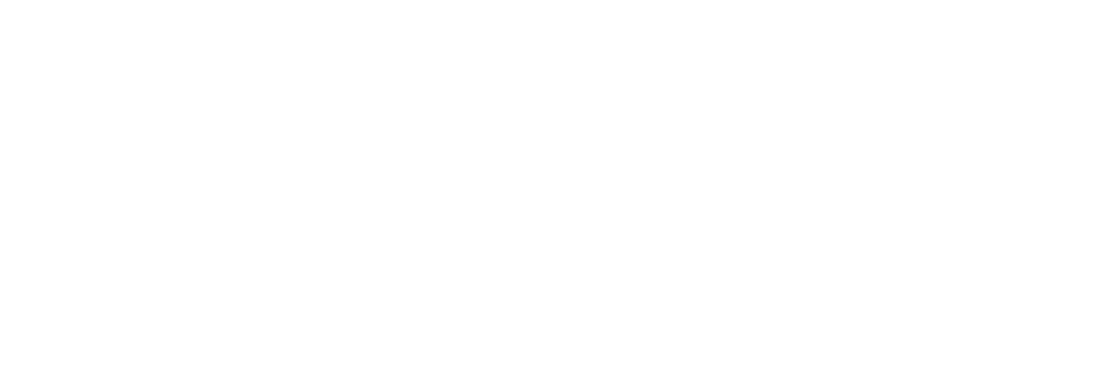 Palm Coast Development of Vero Beach - Logo